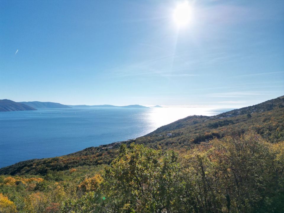 original_1732420764_dji_fly_20241123_113330_554_1732395679116_photo.jpg