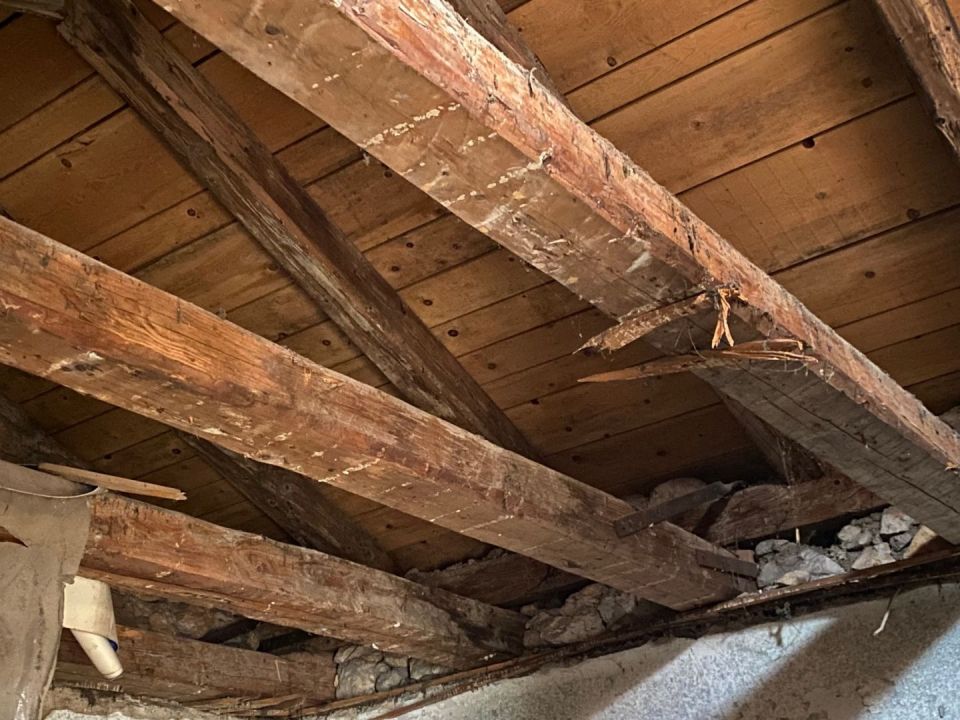original_1709739329_img_3605.jpg