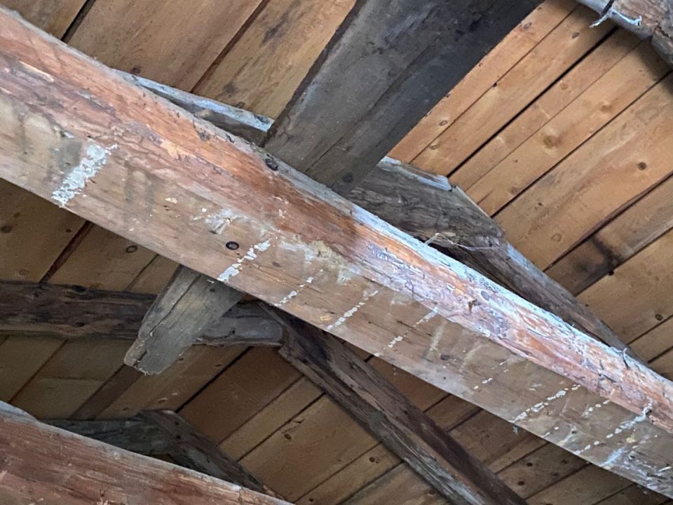 original_1709739332_img_3606.jpg