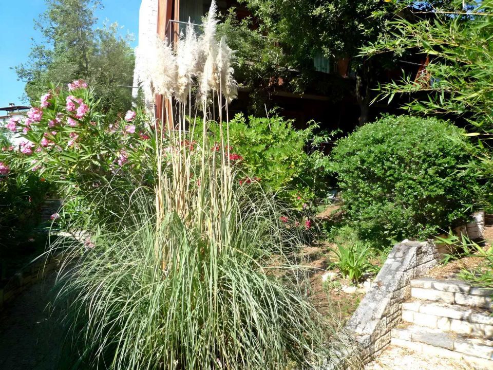 original_1737805452_croatia-istria-real-estate-for-sale-420.jpg