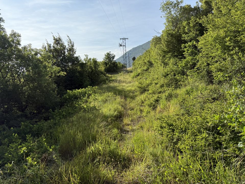 original_1773244497_img_4460.jpg