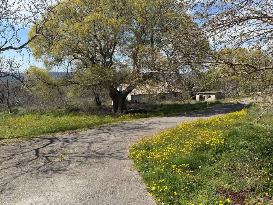 original_1775047947_photo_2026-04-01_14-41-24.jpg