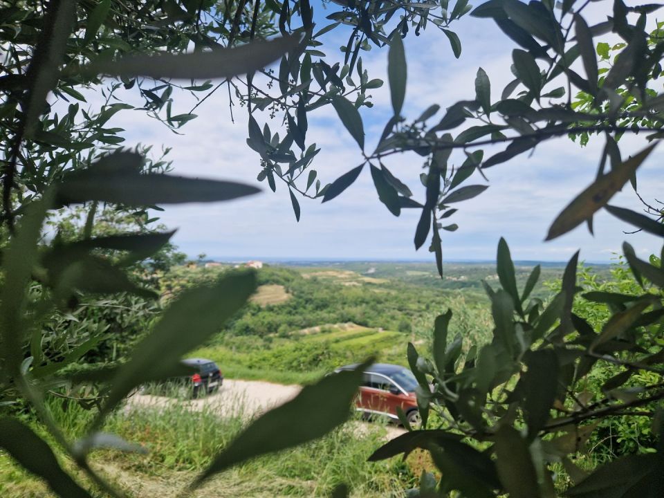 original_1748452054_istra-buje-samostojeca-kuca-panoramskog-pogleda-8.jpg