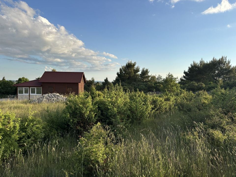 original_1747123445_img_0081.jpg