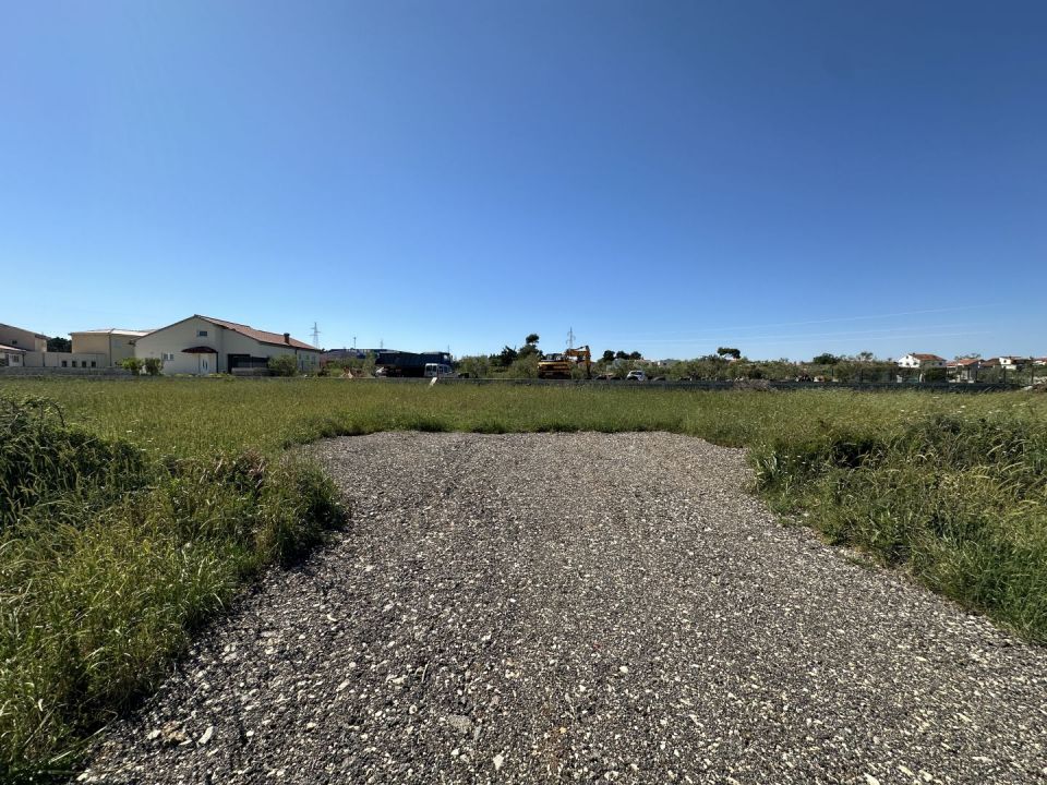 original_1747299415_img_0233.jpg