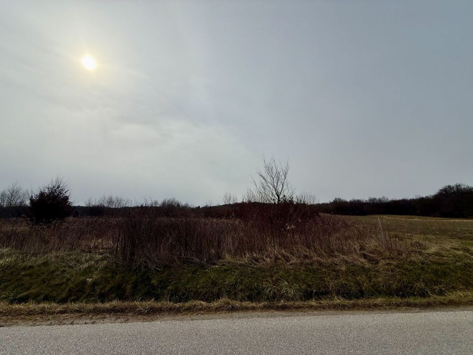 original_1747901563_img_1341.jpeg