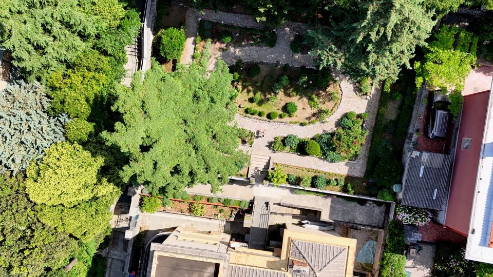 original_1749219949_dji_fly_20250506_011612_0062_1749046050461_photo.jpg