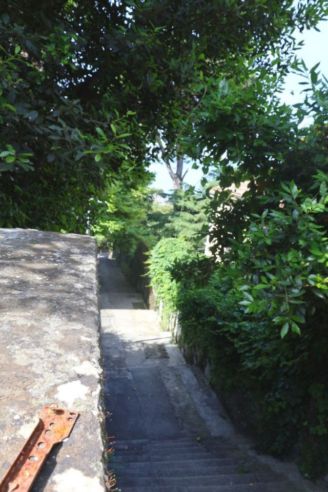 original_1749220164_img_0378.jpg