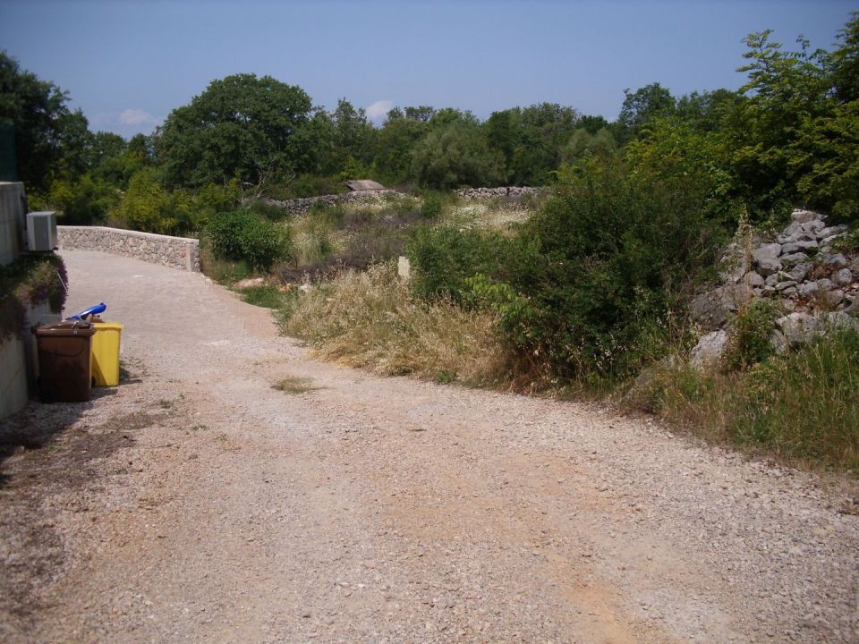 original_1749363623_img_5635.jpg