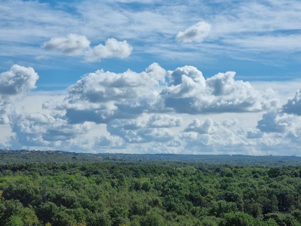 original_1728309046_29.jpg