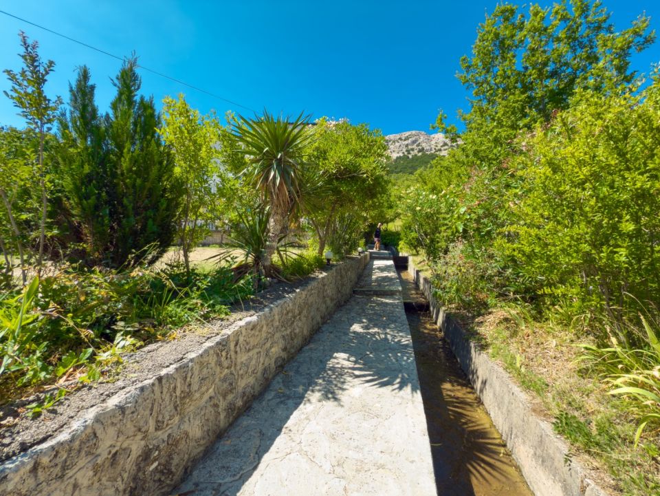 original_1753271413_img_5255.jpg