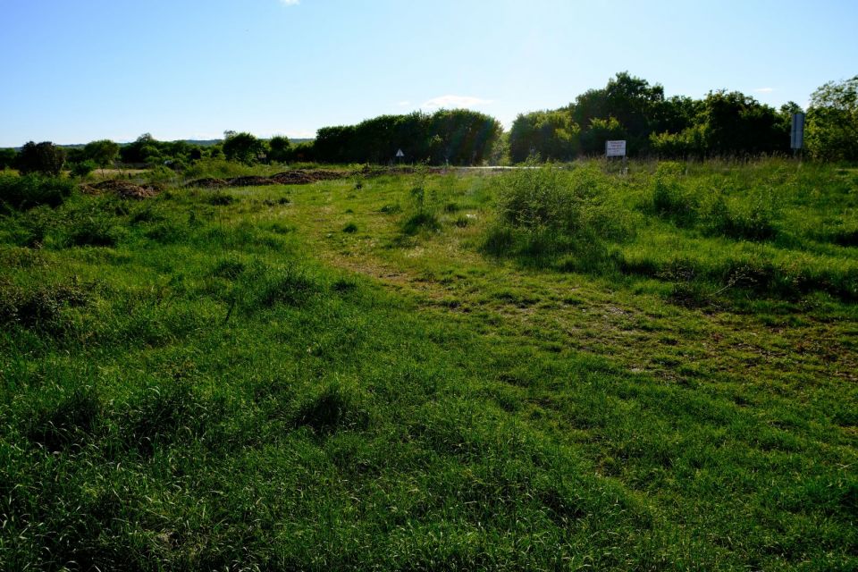 original_1714067865_dscf2227.jpg