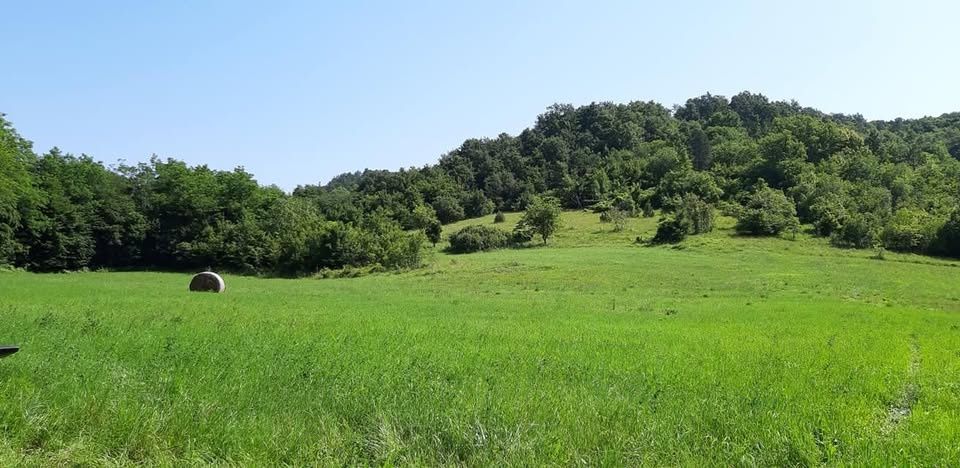 original_1757418980_istra-pazin-imanje-s-potencijalom-1.jpg
