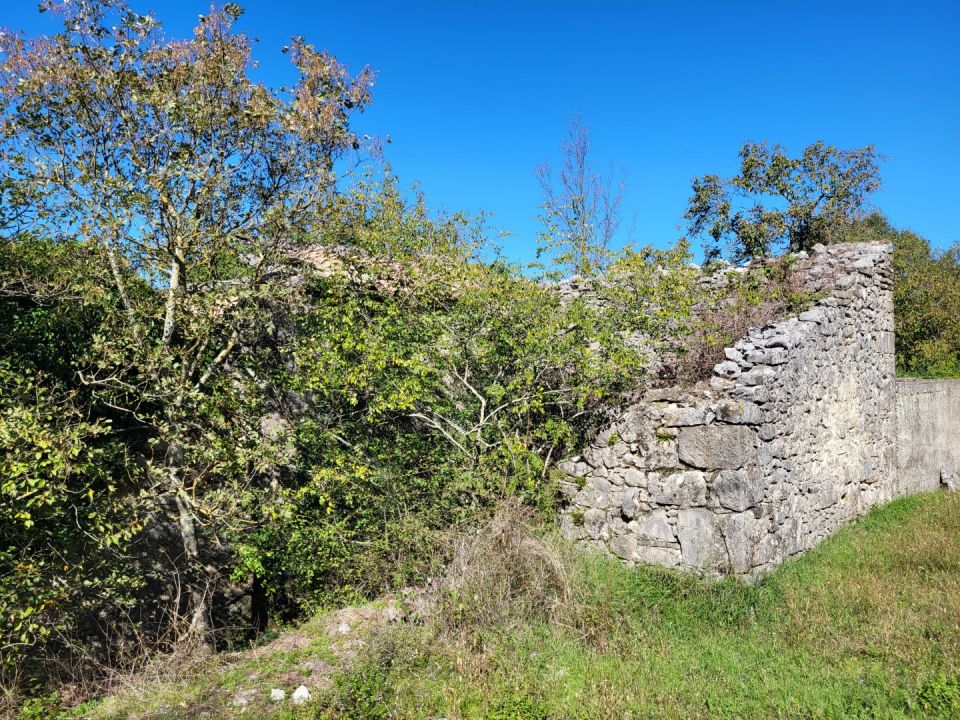 original_1760003795_20251008_120828.jpg
