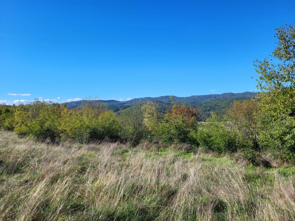 original_1760003908_20251008_121228.jpg