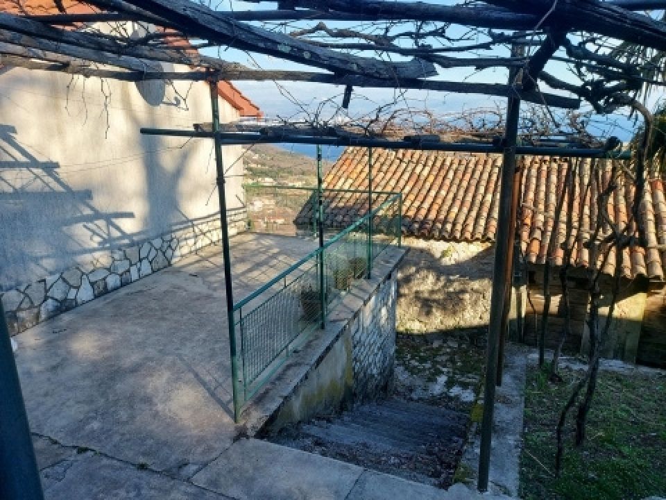 original_1765875605_7.jpg
