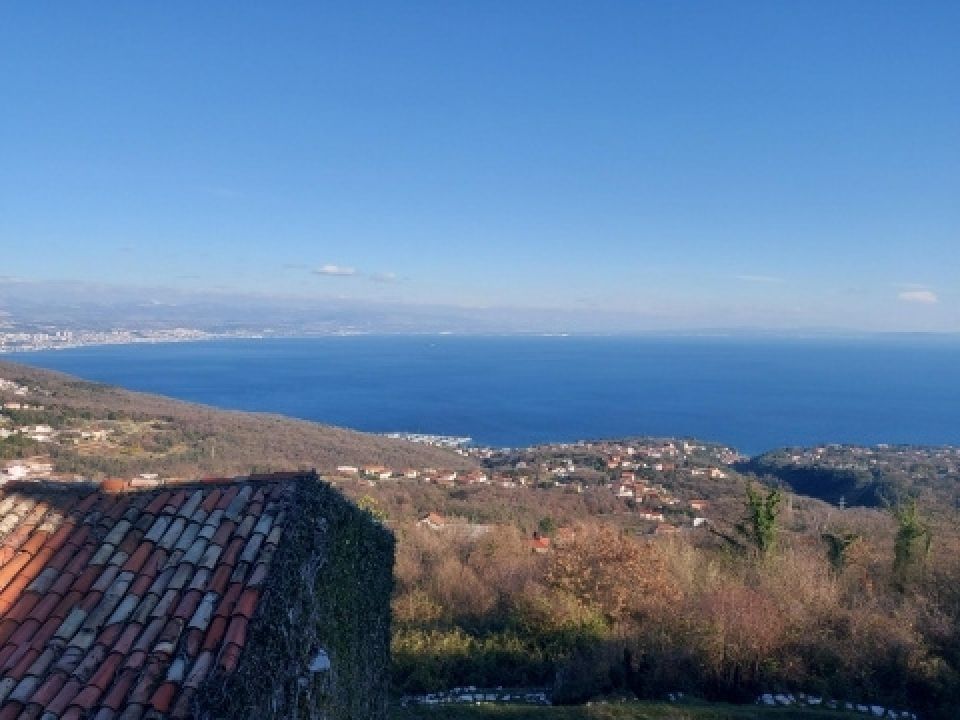 original_1765875952_2.jpg