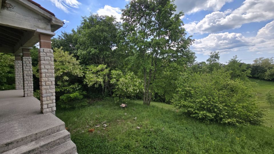 original_1779126854_1000215665.jpg