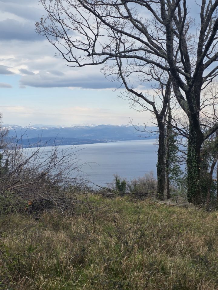 original_1776253550_20260329_131351.jpg