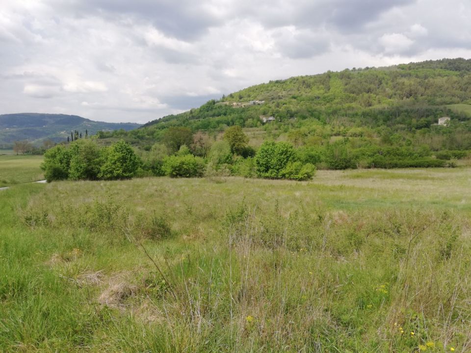 original_1773408338_poljoprivredno_zemljiste.jpg