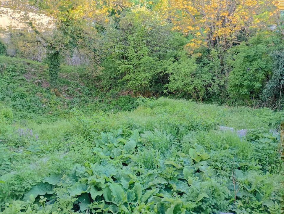 original_1777102605_img_20260424_184844951_mfnr_hdr.jpg