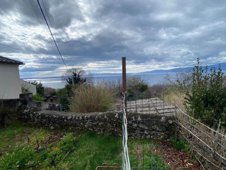 original_1741880132_img_3548.jpg
