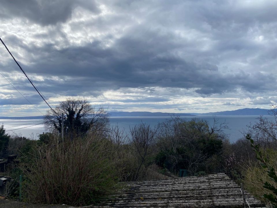 original_1741880138_img_3550.jpg