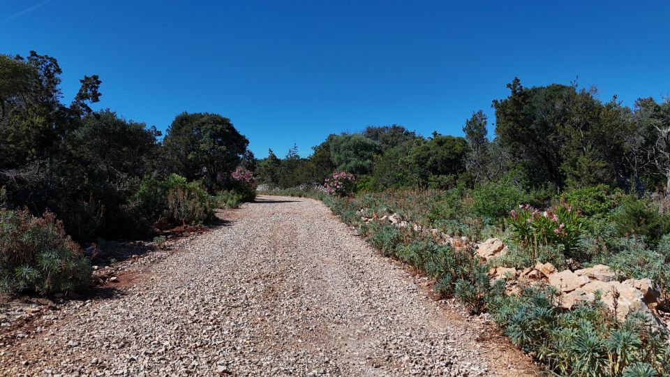 original_1782377691_dji_20260612160302_0001_d.jpg