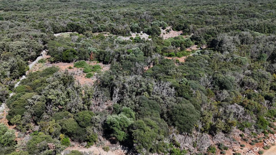 original_1782377709_dji_20260612160353_0004_d.jpg
