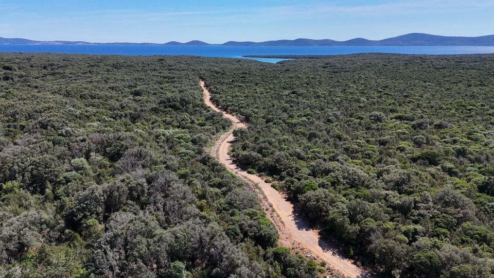 original_1782377724_dji_20260612160437_0008_d.jpg