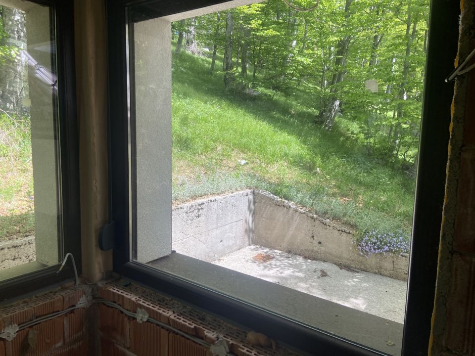 original_1779446273_img_4235.jpeg