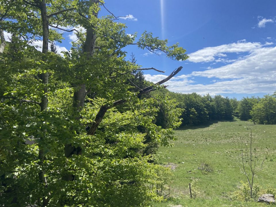 original_1779446442_img_4223.jpeg