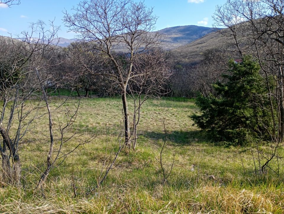 original_1779180480_img_20260320_094416936_hdr.jpg