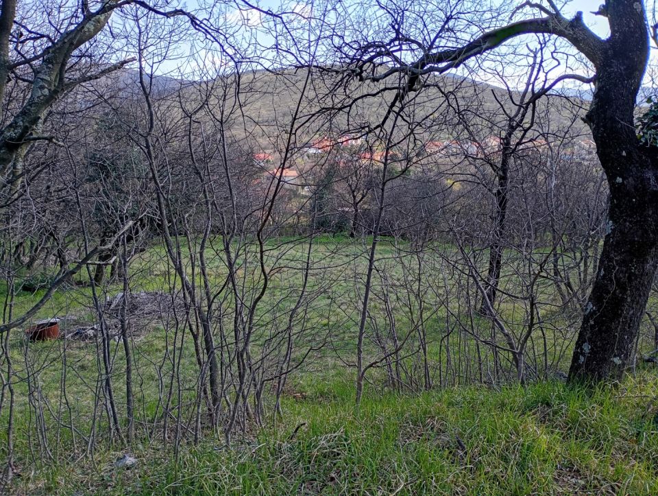original_1779180492_img_20260320_094437665_hdr.jpg
