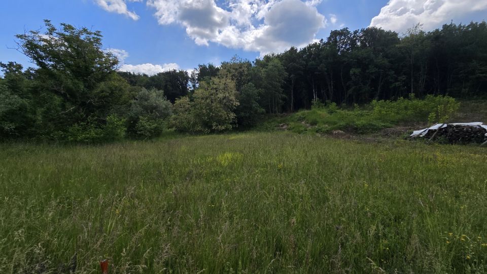 original_1779127839_1000215682.jpg