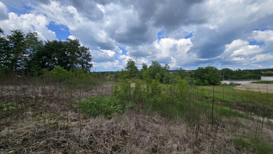 original_1779127887_1000215692.jpg