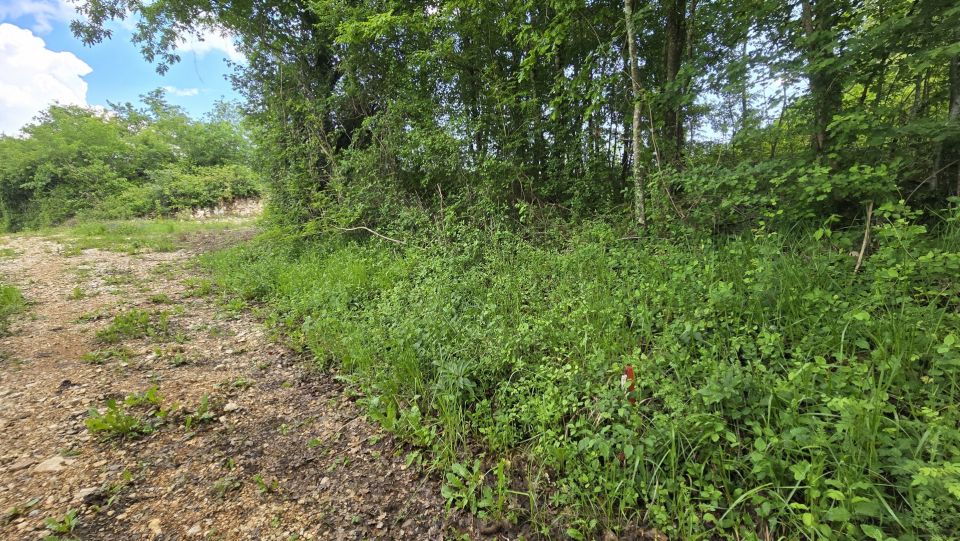 original_1779127914_1000215698.jpg