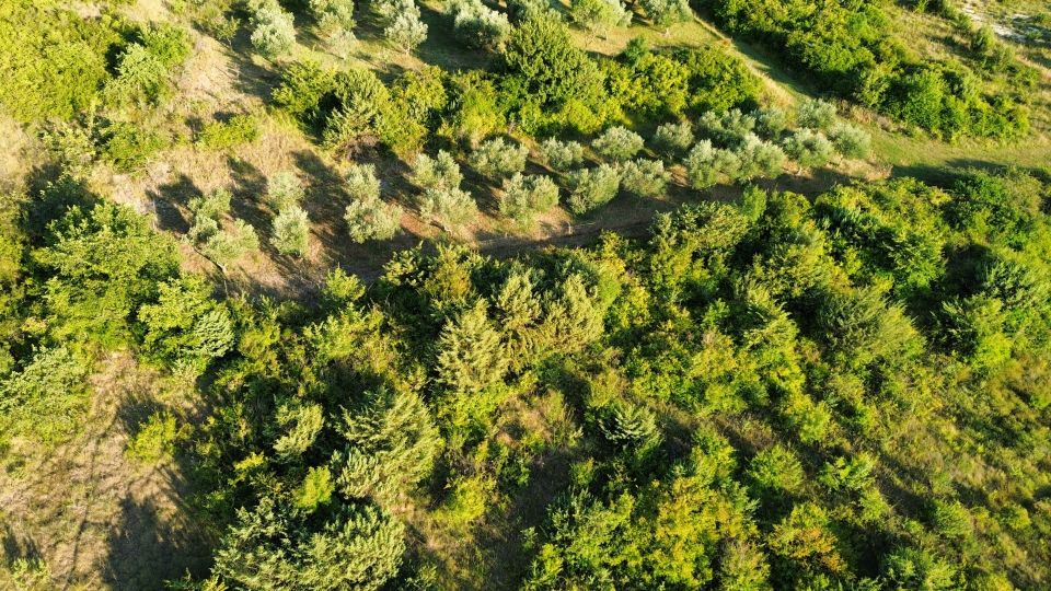 original_1783418022_dji_fly_20260704_132846_268_1783415126453_photo_optimized.jpg