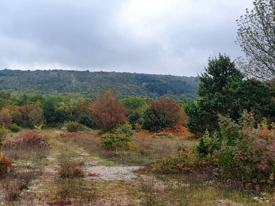 original_1779997478_istra-gradevinsko-zemljiste-prodaja-30.jpg