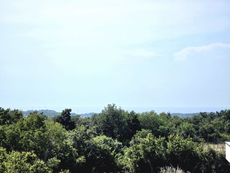 original_1780074603_1000088431.jpg