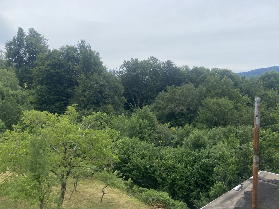 original_1783579717_img_4611.jpeg