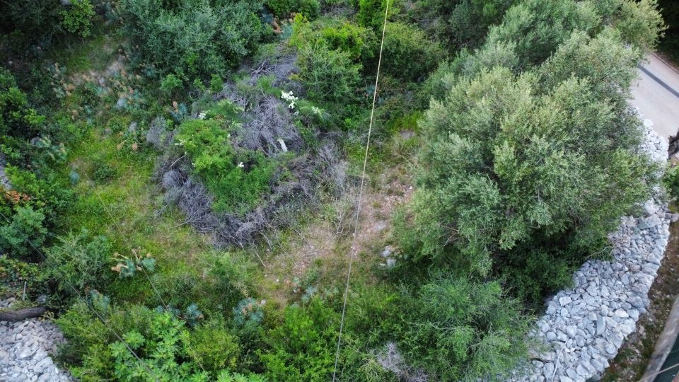 original_1780999140_dji_fly_20260605_204528_139_1780685189331_photo_optimized.jpg