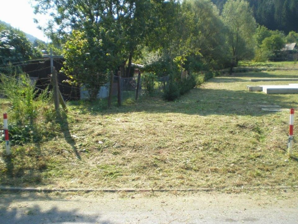 original_1652896072_p8310017.jpg