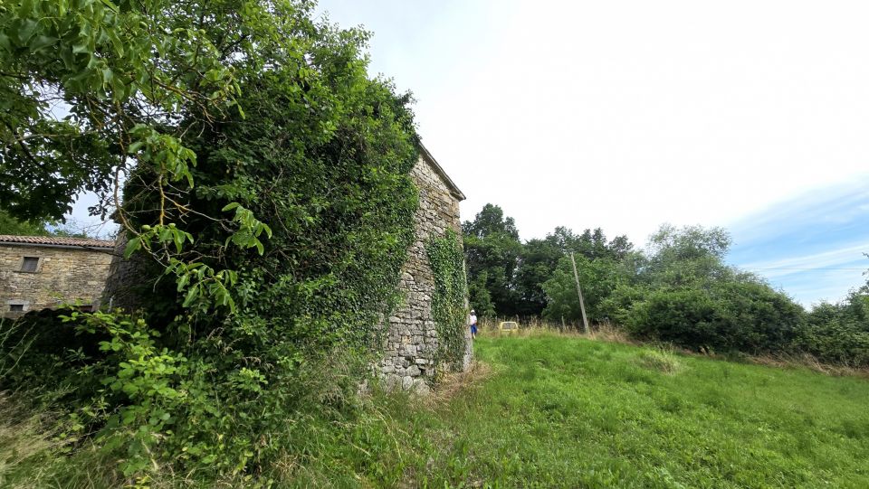 original_1781511356_1000220999.jpg