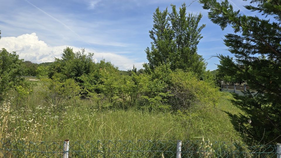 original_1781927411_1000222274.jpg