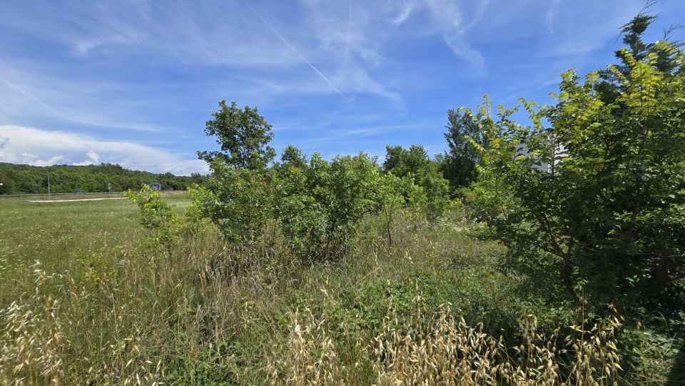 original_1781927423_1000222275.jpg