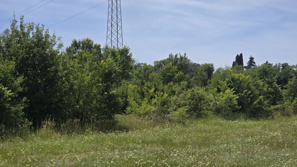 original_1781927446_1000222279.jpg