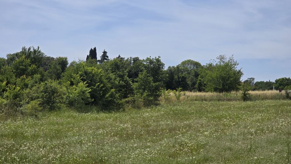 original_1781927450_1000222280.jpg