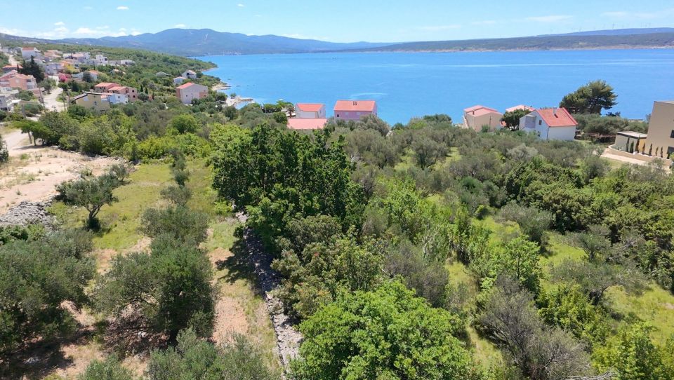 original_1781695873_dji_fly_20260615_114512_0061_1781521030232_photo_beautify.jpg