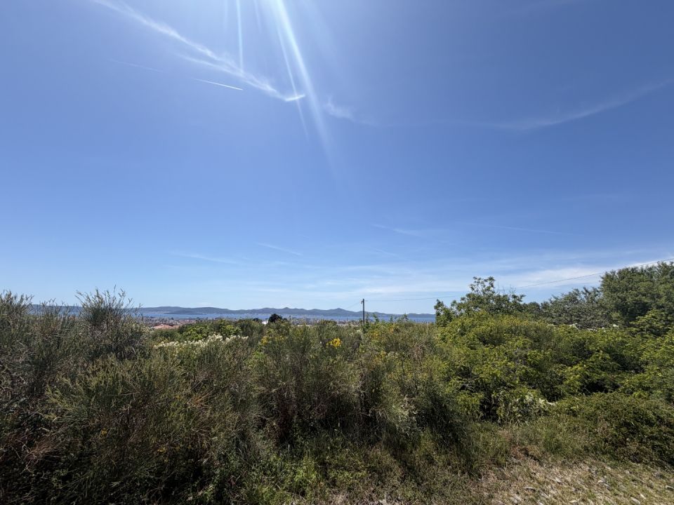 original_1781700539_img_4289.jpg